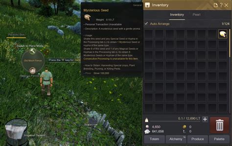 black desert farming seeds